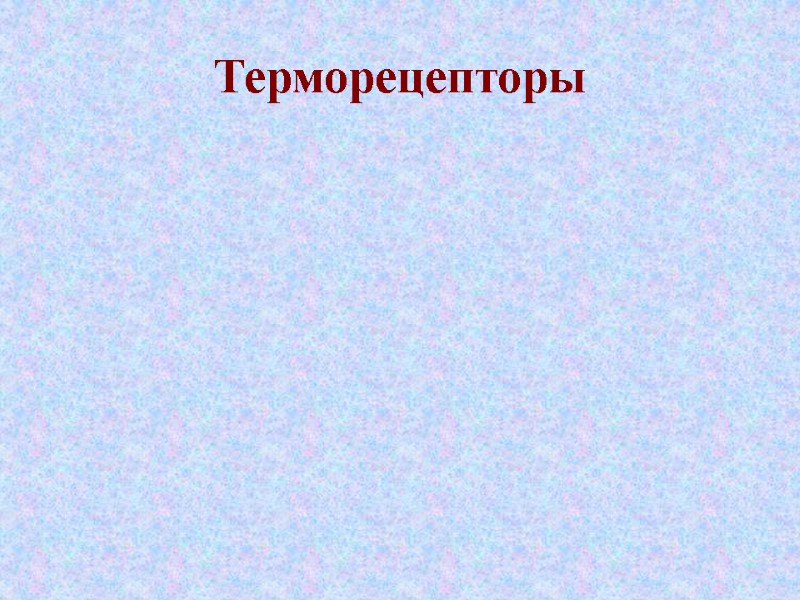 Терморецепторы